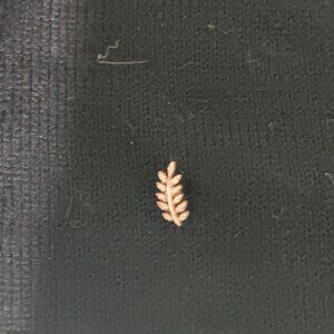 BLVA Push Pin Flatback Feather Stud